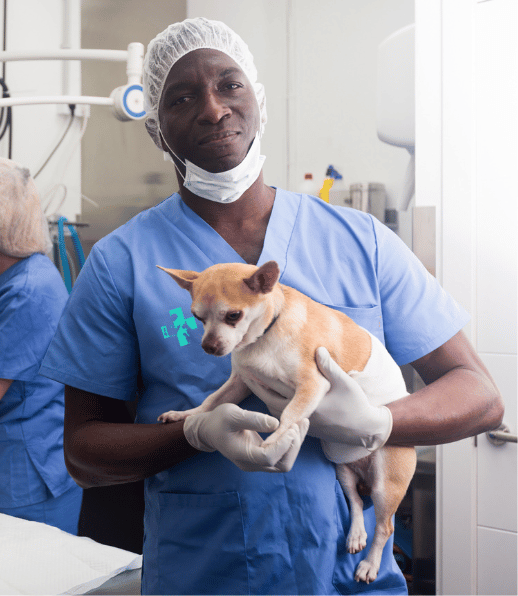 Veterinary Doctor in Lekki Lagos Nigeria Holding a dog