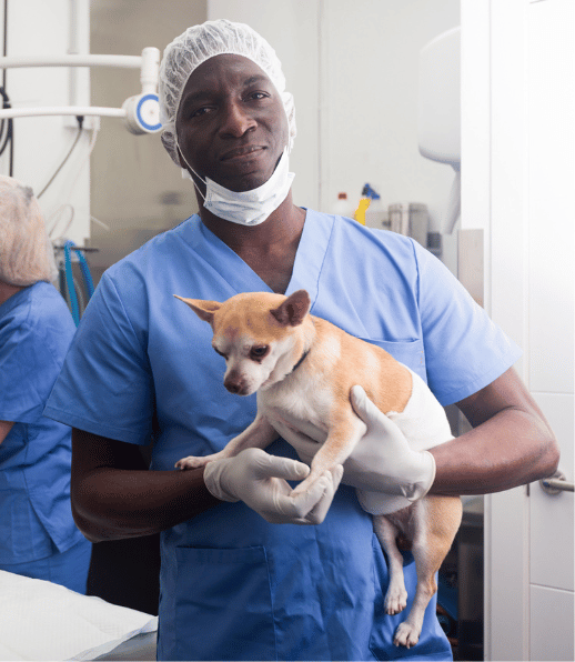 Best Veterinary Doctors in Lagos