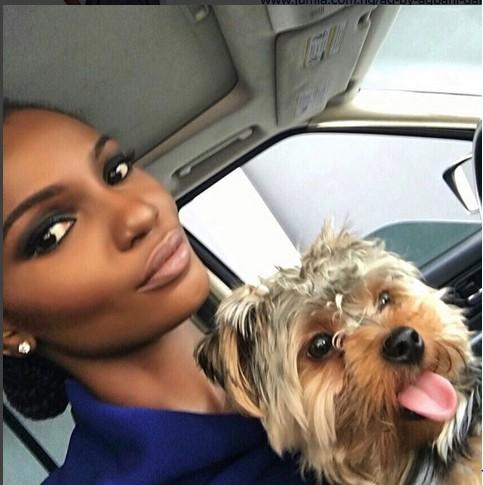 Nigerian Celebrities and Their Pets