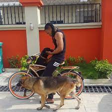 Nigerian Celebrities and Their Pets