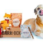 15 Perfect Gift Ideas for Dog Lovers Under ₦15,000 in Nigeria