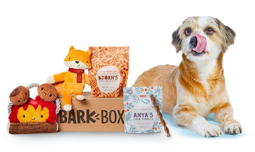 Gift ideas for dog lovers