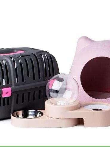 Must-Have Products for New Kitten Owners in Lagos