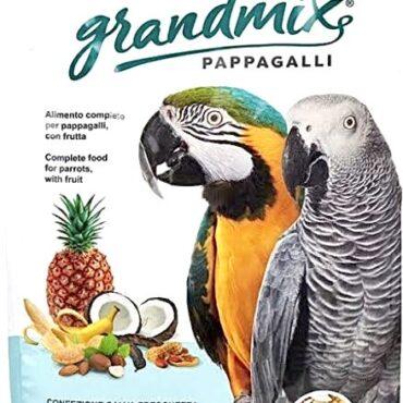Premium Parrot Food