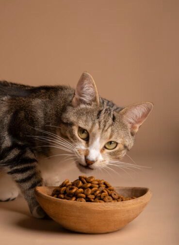 Reflex vs Spectrum Cat Food: Which is Better in Nigeria?