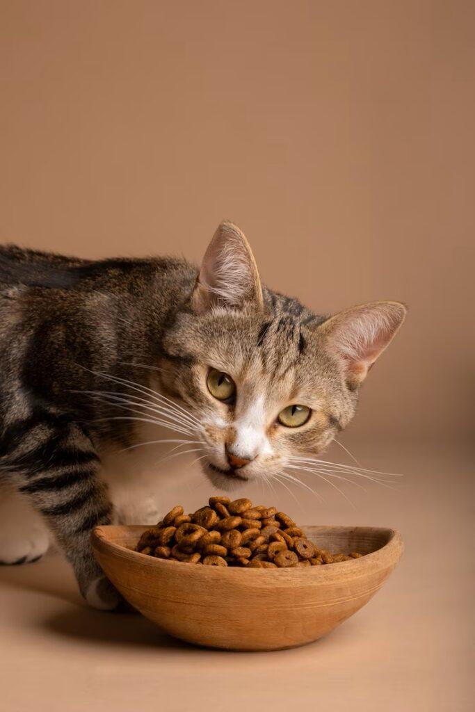 Reflex vs Spectrum Cat Food: Which is Better in Nigeria?