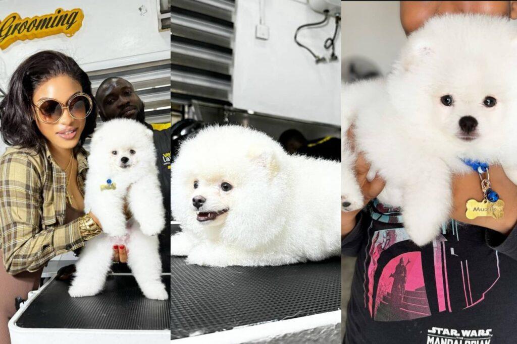 Tontoh Dikeh and her Pets