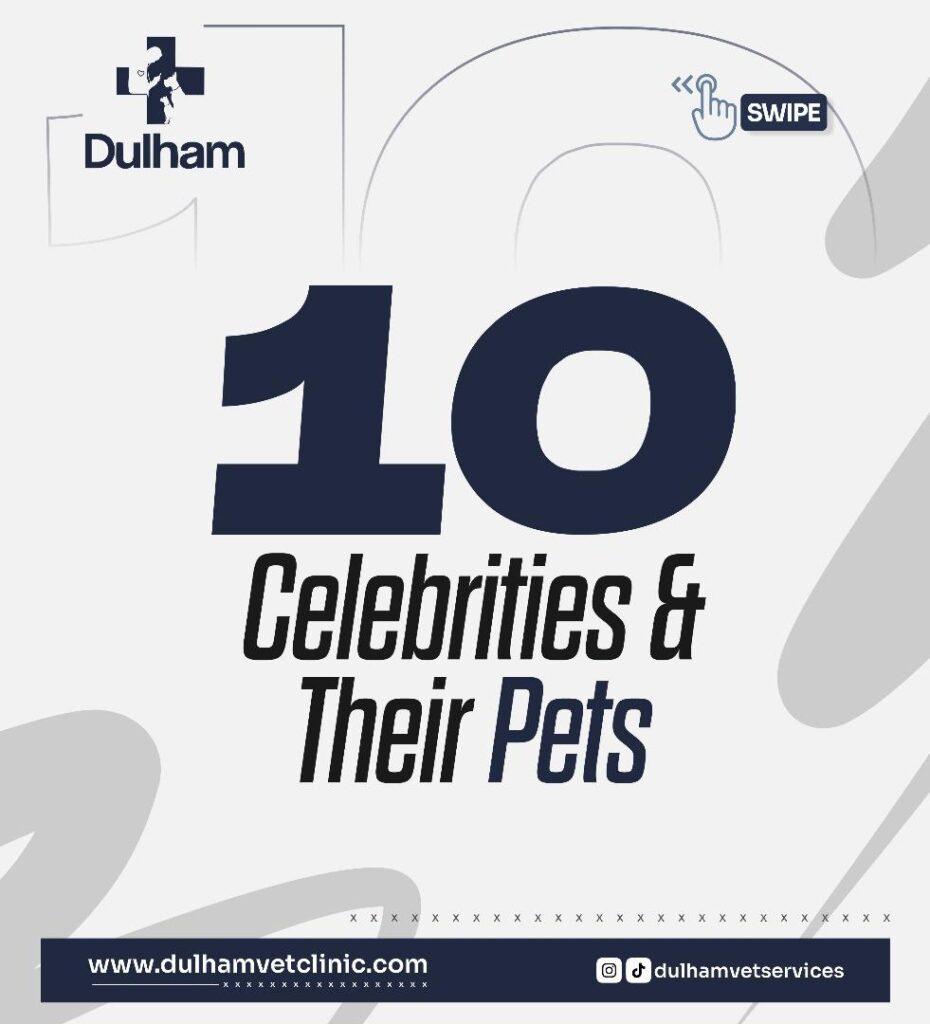 Top 10 Celebrities with their Pets in Nigeria