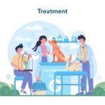 Top 10 Veterinary Doctors in Port Harcourt (2025): Expert Pet Care You Can Trust