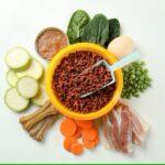 Why Hydration-Boosting Ingredients Matter in Pet Food