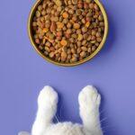 Why Spectrum is a Trusted Brand for Cats and Dogs in Nigeria