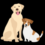 Beginner’s Guide to Dog Breeding in Lagos: Costs, Care & Setup
