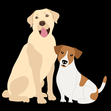 Dog Breeding