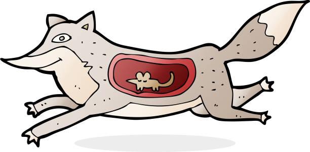 dog reproductive health Nigeria