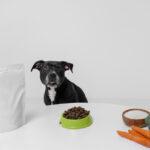 Vet-Approved Dog Supplements for Arthritis, Itchy Skin, Allergies & More