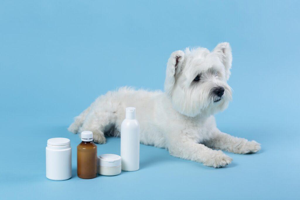 Dog medication in Nigeria